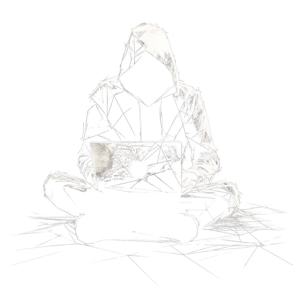 a ninja displaying a laptop